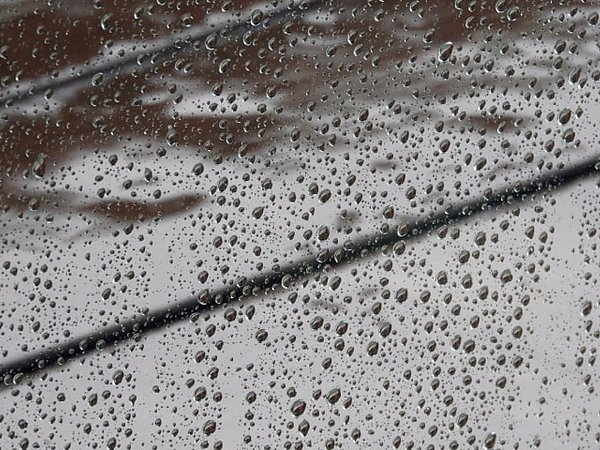 盆明けても降り続く雨。。の画像